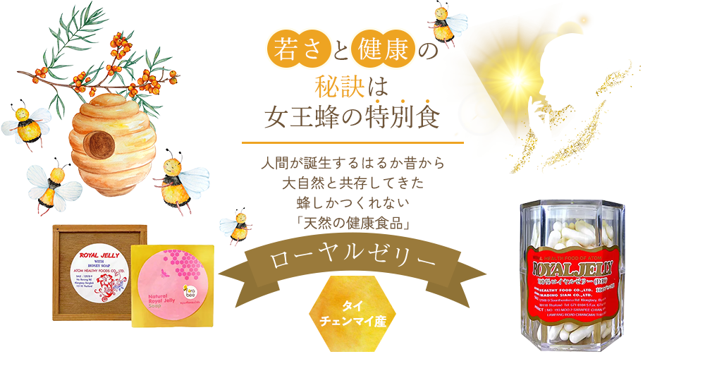 若さと健康の秘訣は女王蜂の特別食｜人間が誕生するはるか昔から大自然と共存してきた蜂しかつくれない「天然の健康食品」｜ローヤルゼリー